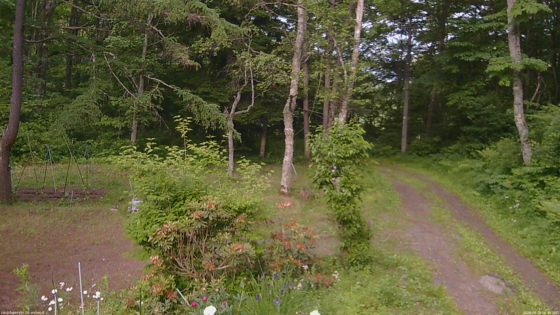長野県菅平高原 ゆたか山荘 坂上 2026/06/18 16:30