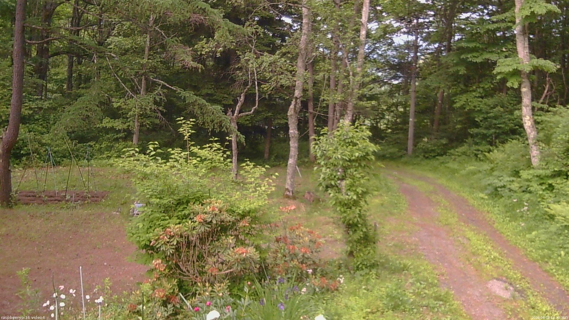 長野県菅平高原 ゆたか山荘 坂上 2026/06/18 18:30