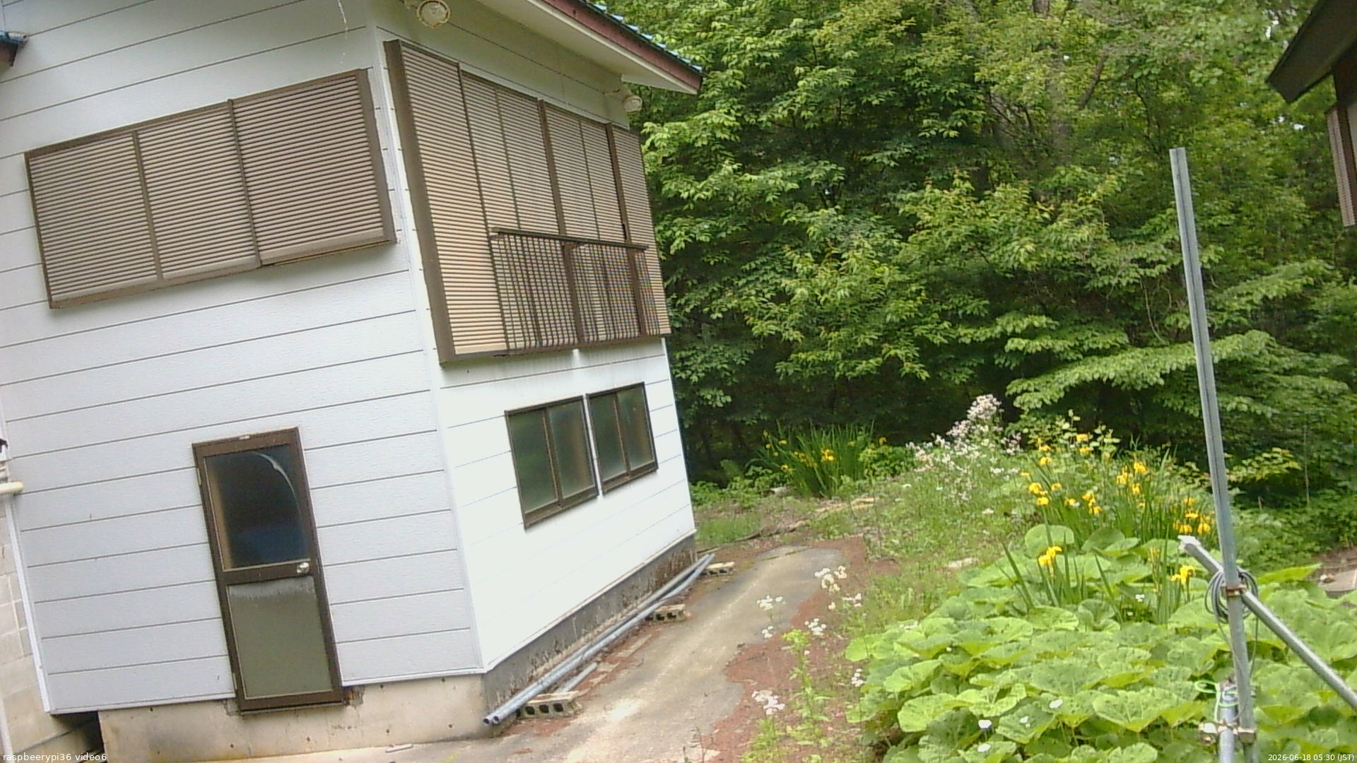 長野県菅平高原 ゆたか山荘 坂下 2026/06/18 05:30
