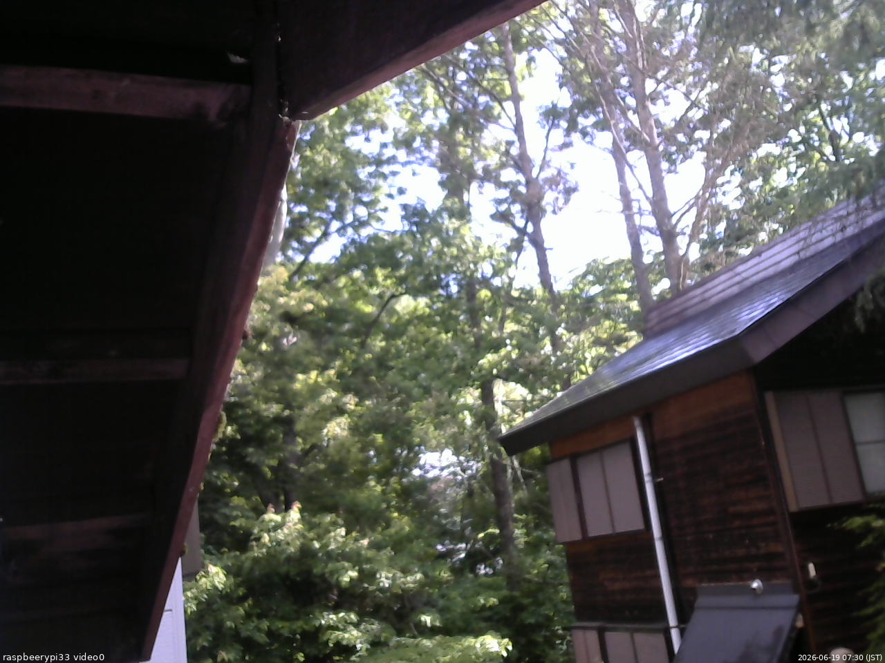 長野県菅平高原 ゆたか山荘 北側 2026/06/19 07:30
