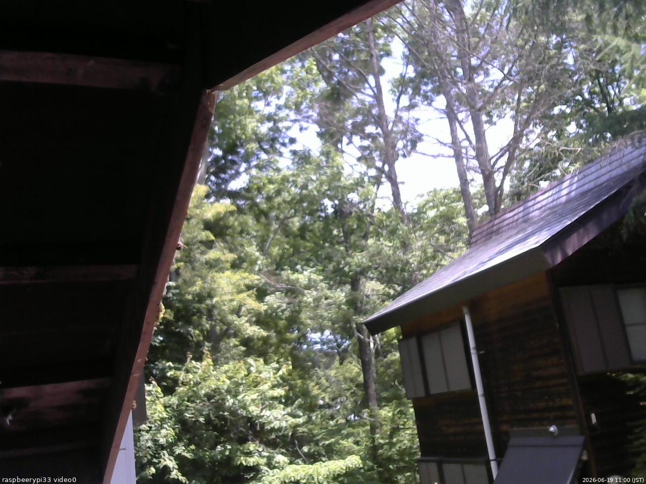 長野県菅平高原 ゆたか山荘 北側 2026/06/19 11:00