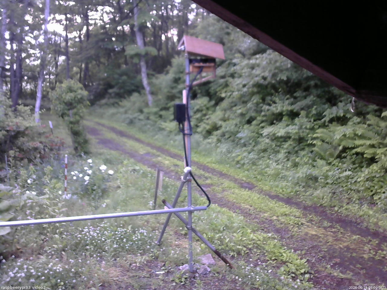 長野県菅平高原 ゆたか山荘 南側 2026/06/19 05:00