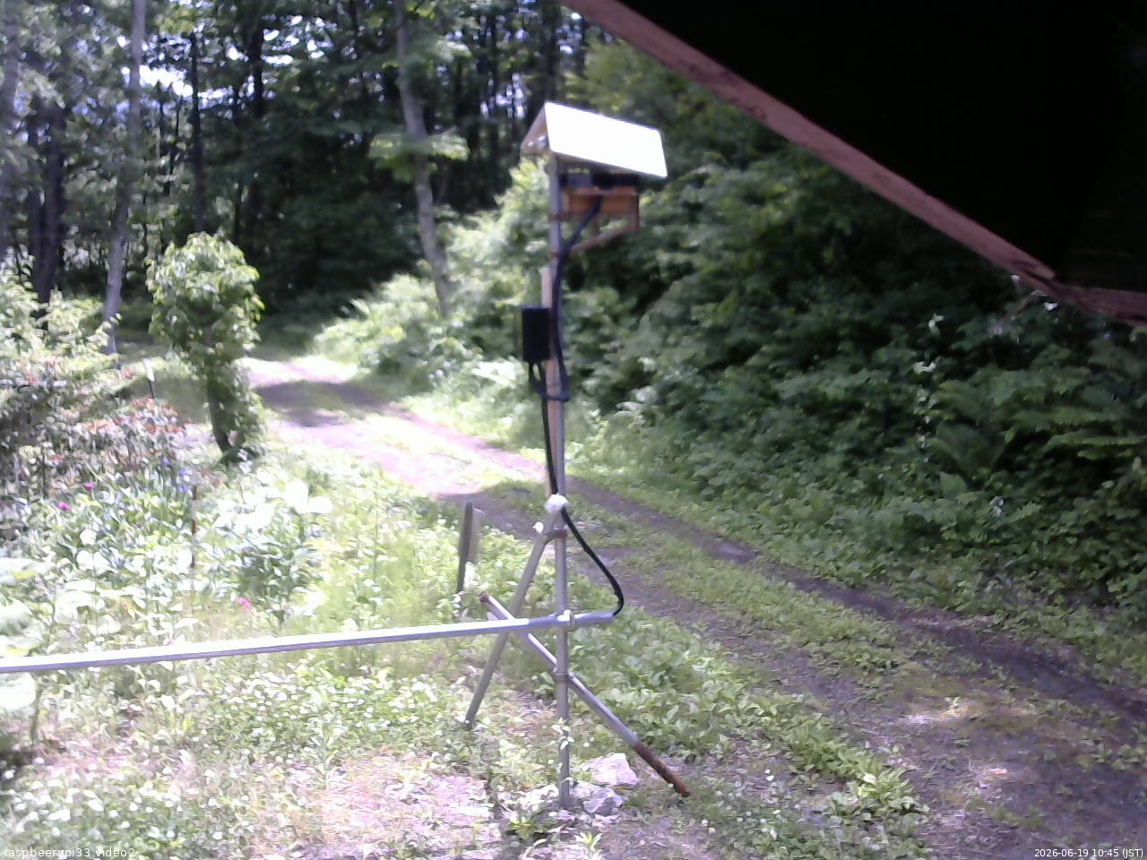 長野県菅平高原 ゆたか山荘 南側 2026/06/19 10:45