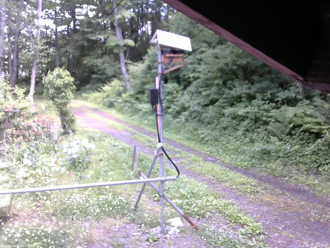 長野県菅平高原 ゆたか山荘 南側 2026/06/19 11:45