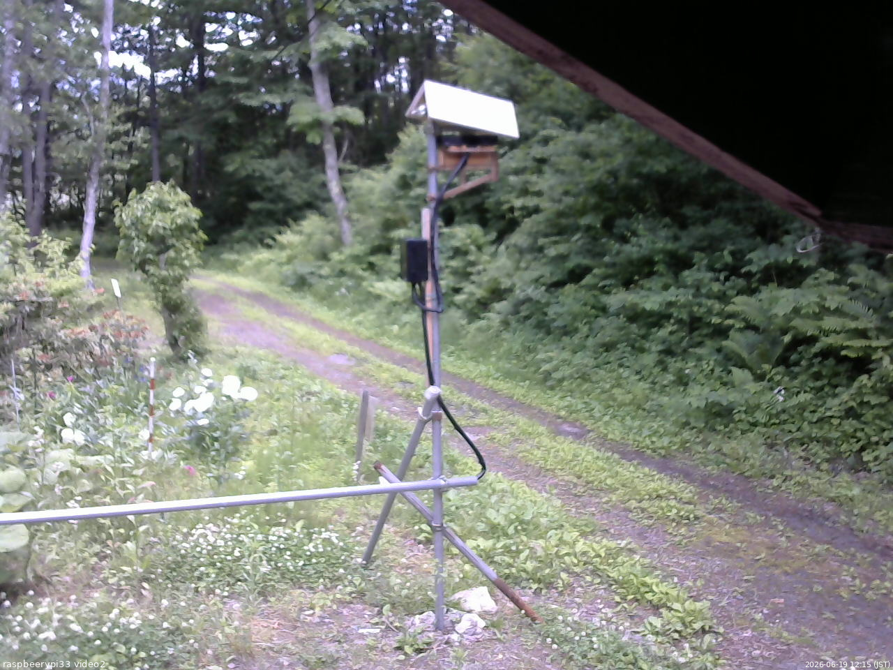 長野県菅平高原 ゆたか山荘 南側 2026/06/19 12:15