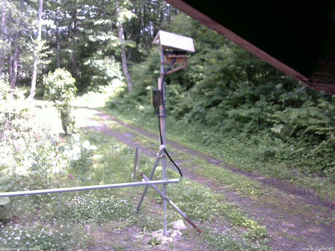 長野県菅平高原 ゆたか山荘 南側 2026/06/19 13:00