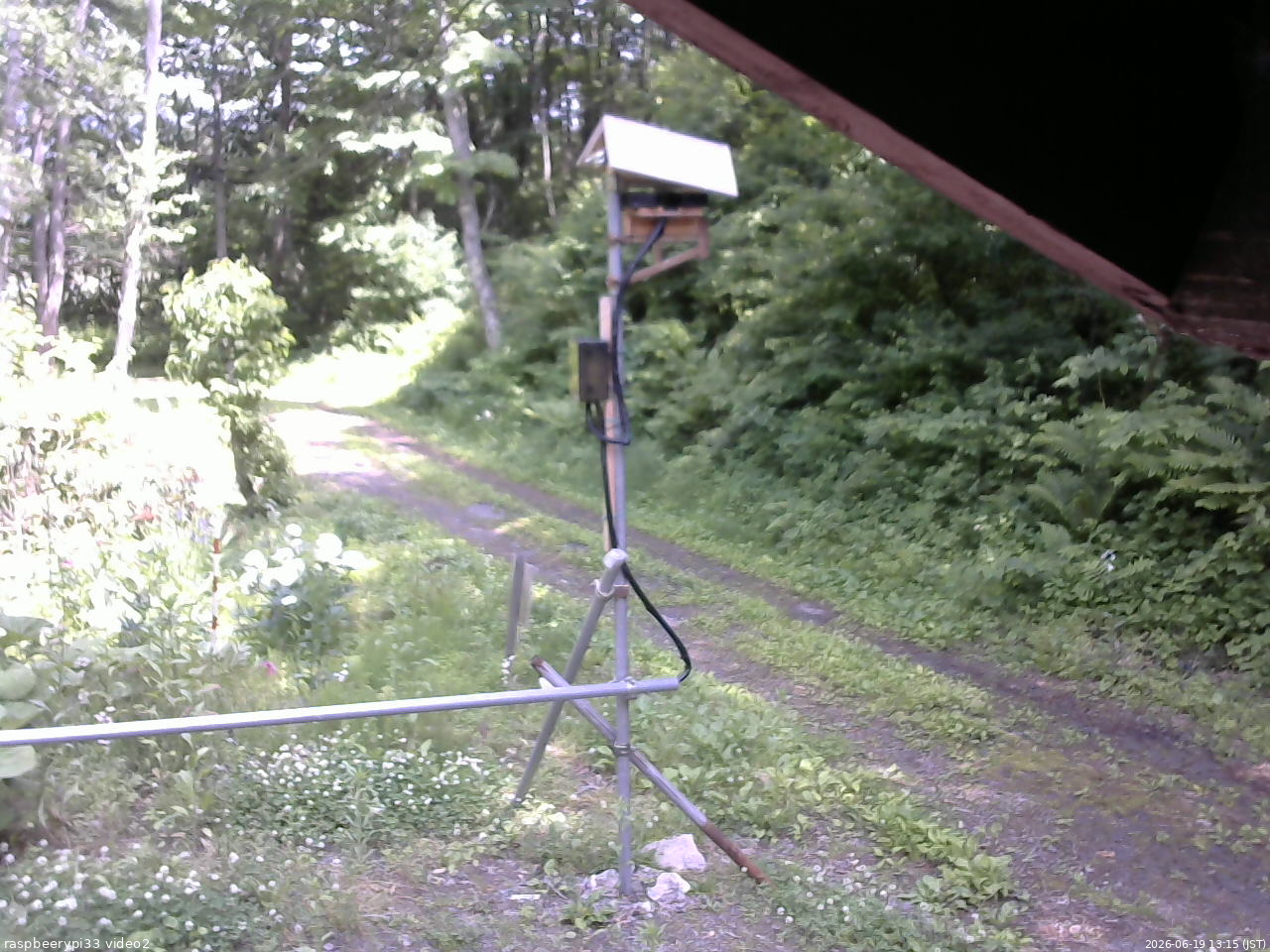 長野県菅平高原 ゆたか山荘 南側 2026/06/19 13:15