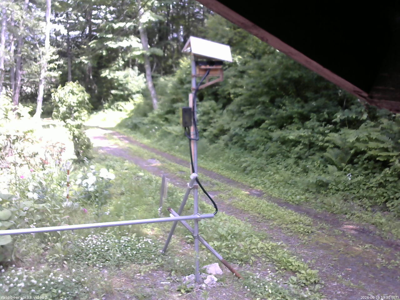 長野県菅平高原 ゆたか山荘 南側 2026/06/19 13:30
