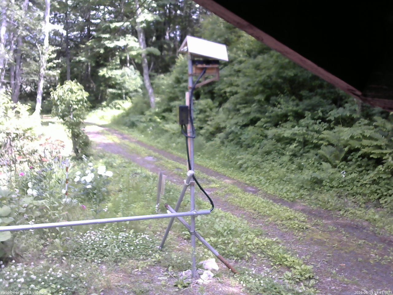 長野県菅平高原 ゆたか山荘 南側 2026/06/19 13:45