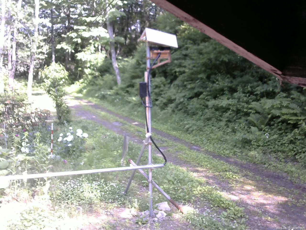 長野県菅平高原 ゆたか山荘 南側 2026/06/19 14:30