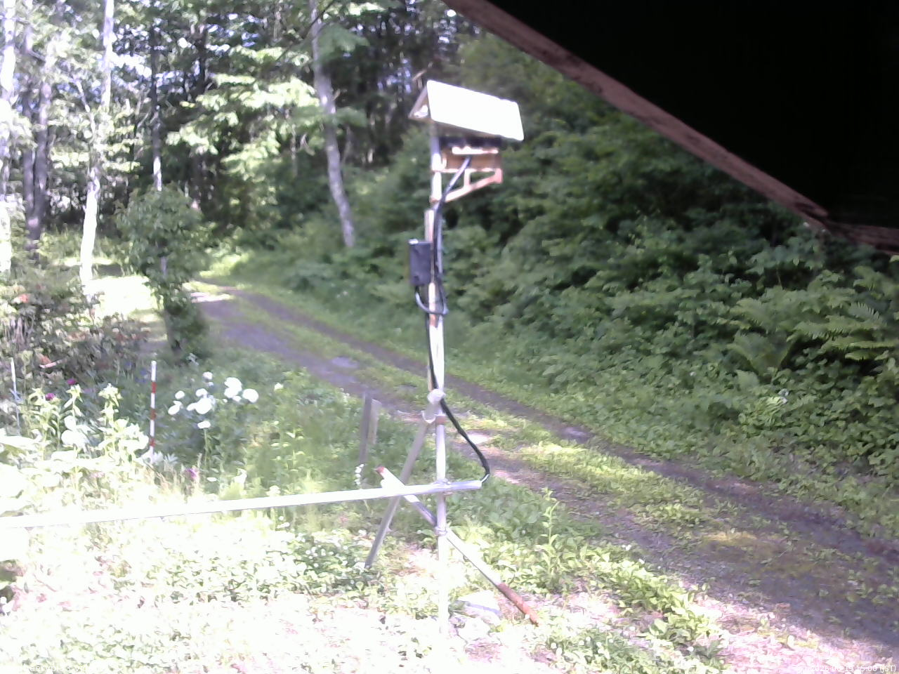 長野県菅平高原 ゆたか山荘 南側 2026/06/19 15:00