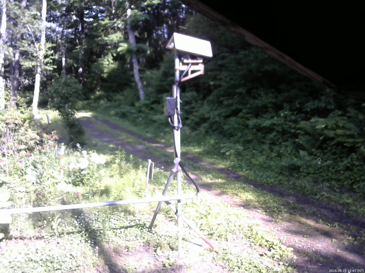 長野県菅平高原 ゆたか山荘 南側 2026/06/19 15:45