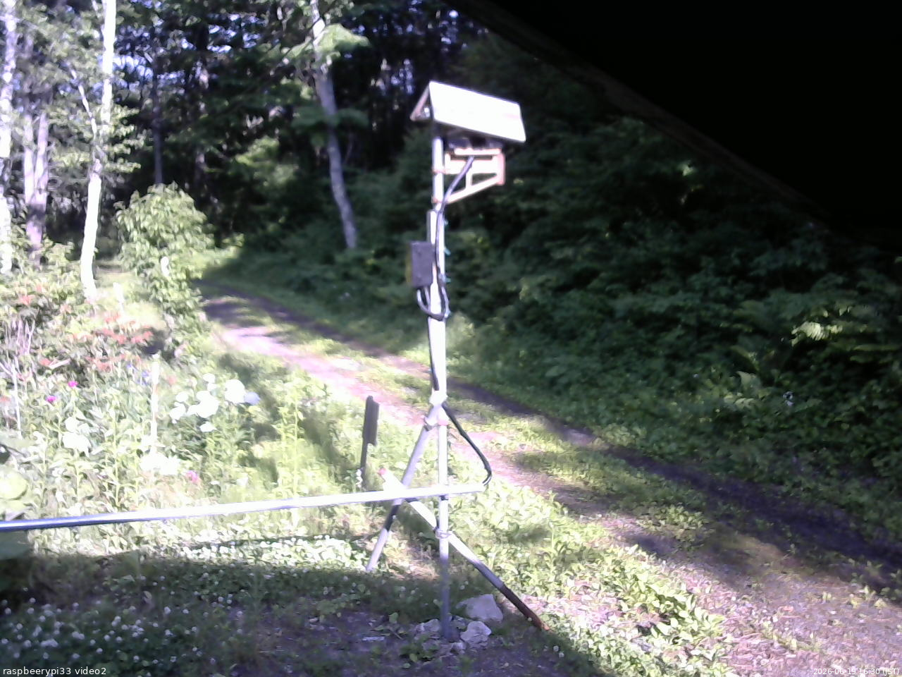 長野県菅平高原 ゆたか山荘 南側 2026/06/19 16:30