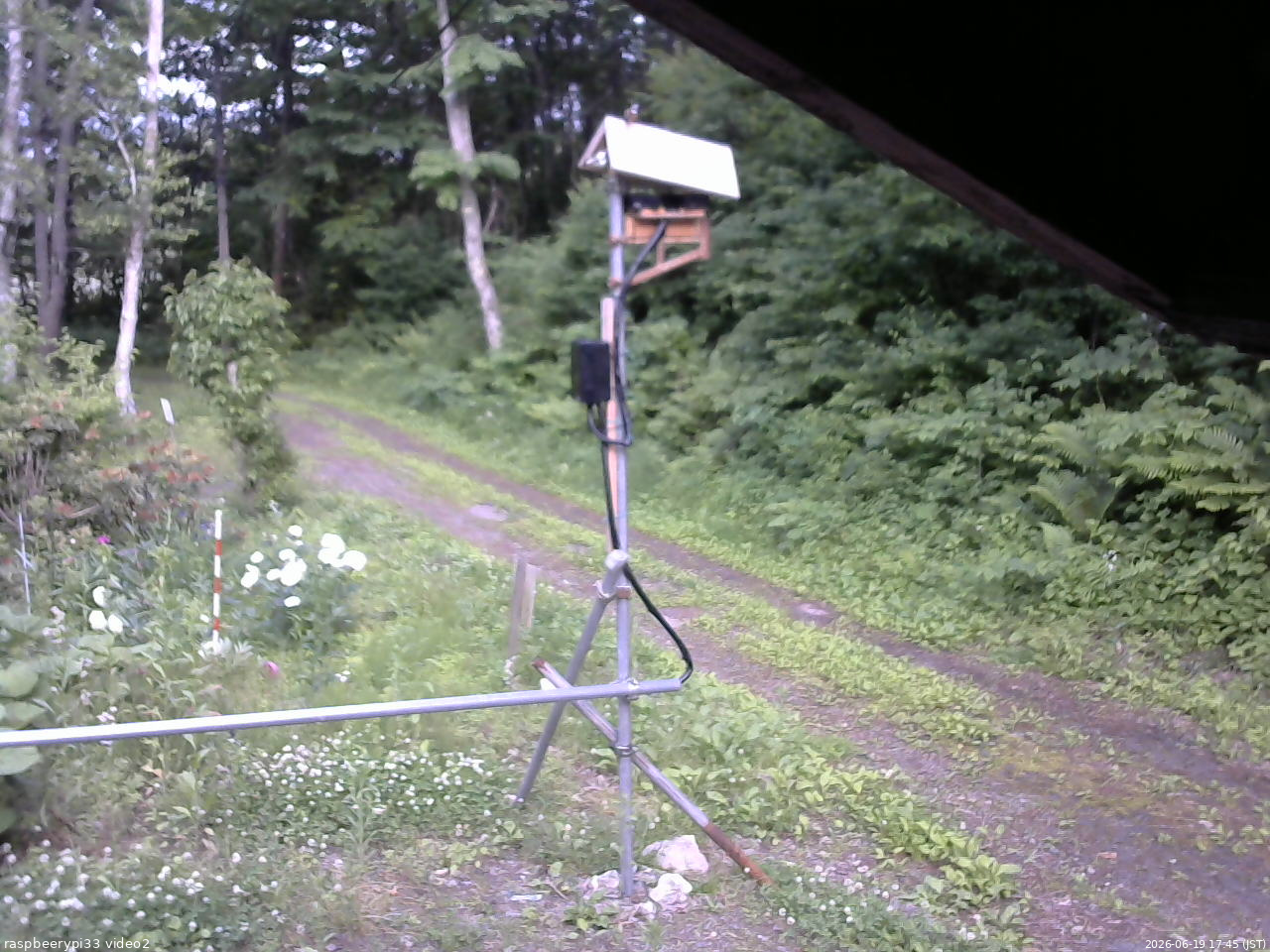 長野県菅平高原 ゆたか山荘 南側 2026/06/19 17:45