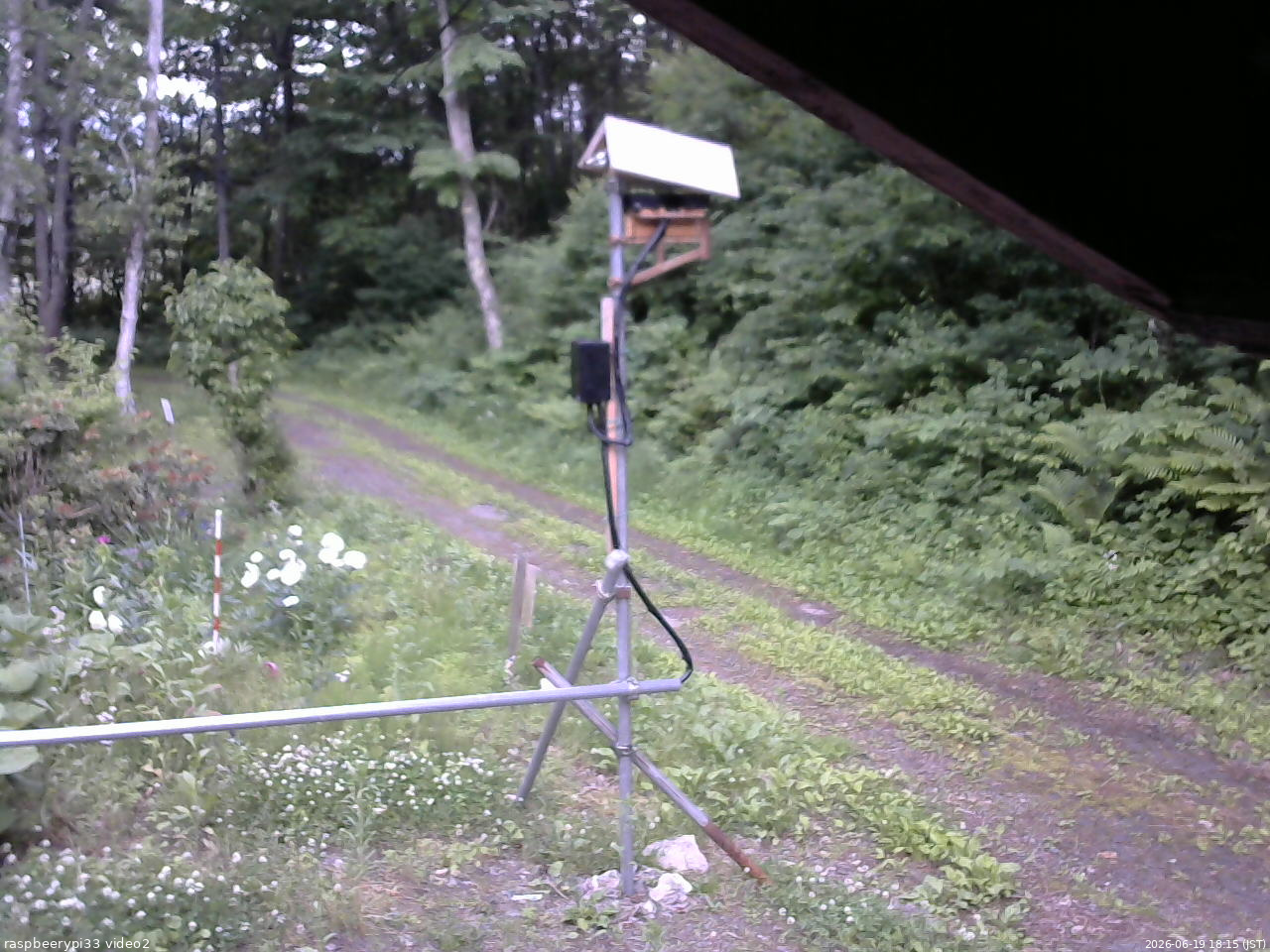 長野県菅平高原 ゆたか山荘 南側 2026/06/19 18:15