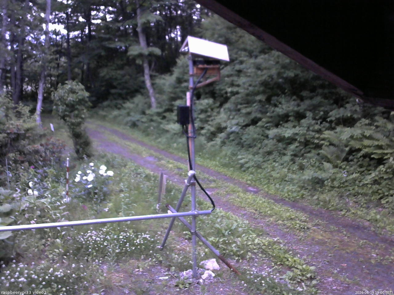 長野県菅平高原 ゆたか山荘 南側 2026/06/19 19:00
