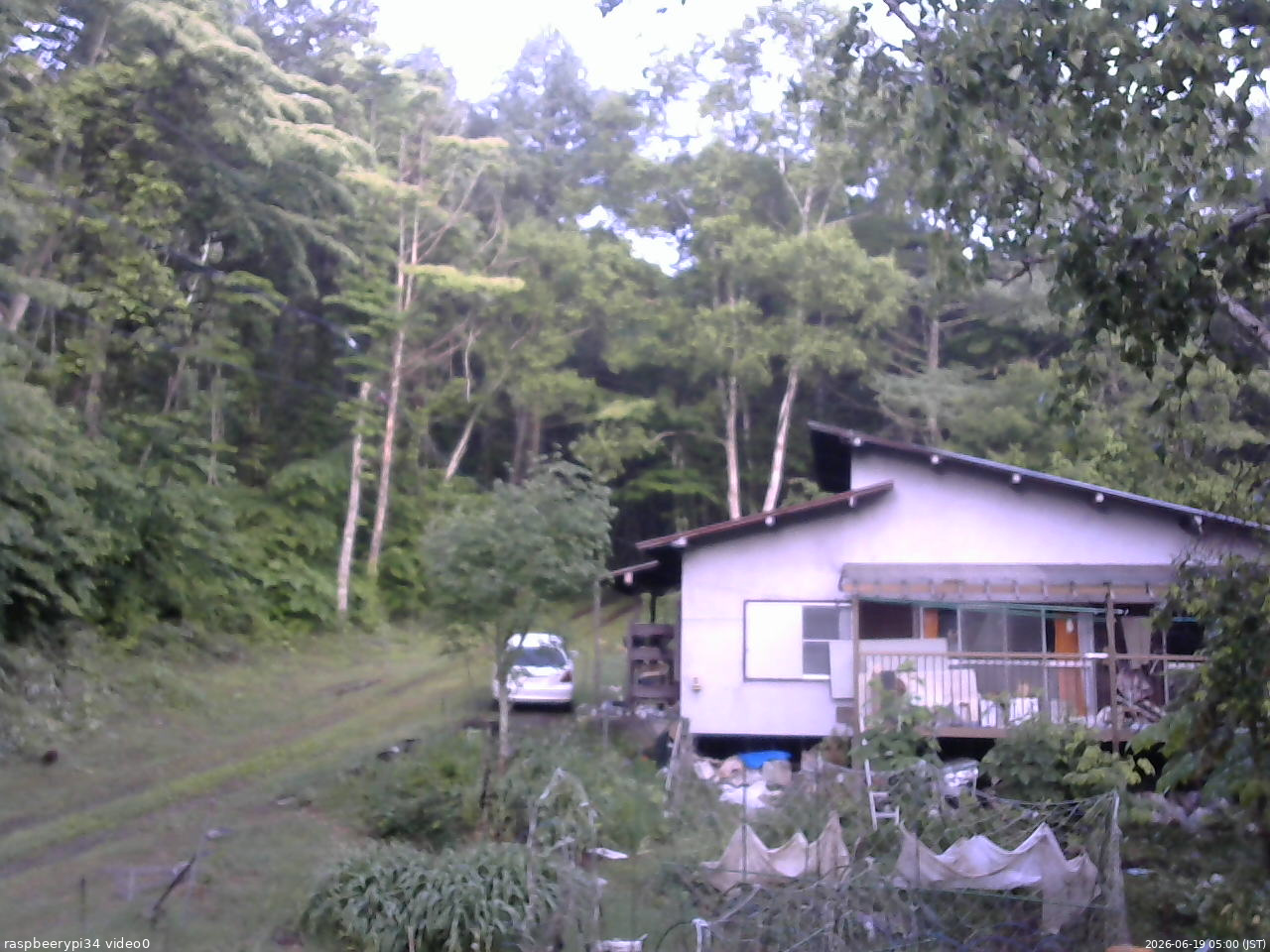長野県菅平高原 ゆたか山荘 西側(坂上) 2026/06/19 05:00