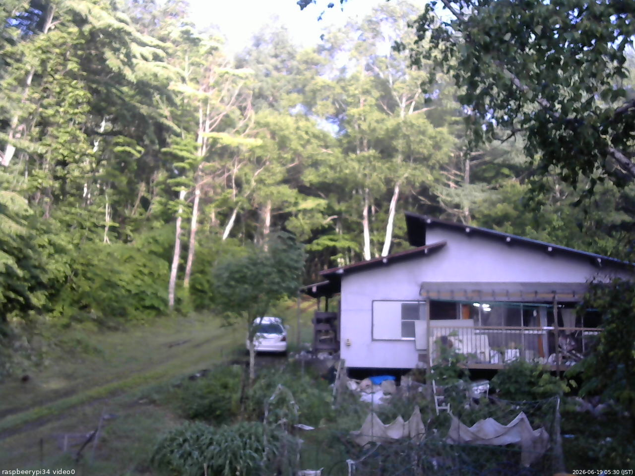 長野県菅平高原 ゆたか山荘 西側(坂上) 2026/06/19 05:30