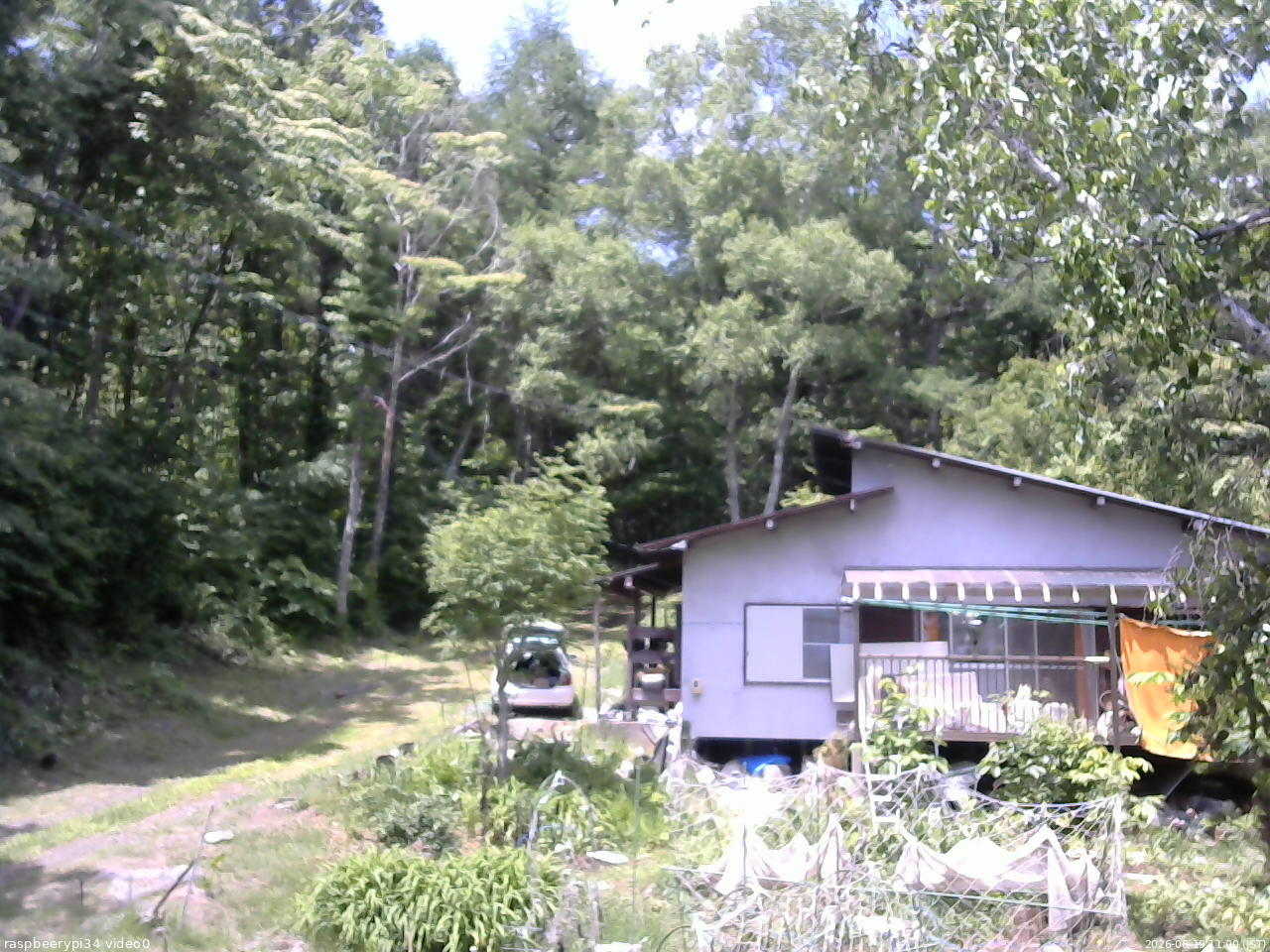 長野県菅平高原 ゆたか山荘 西側(坂上) 2026/06/19 11:00