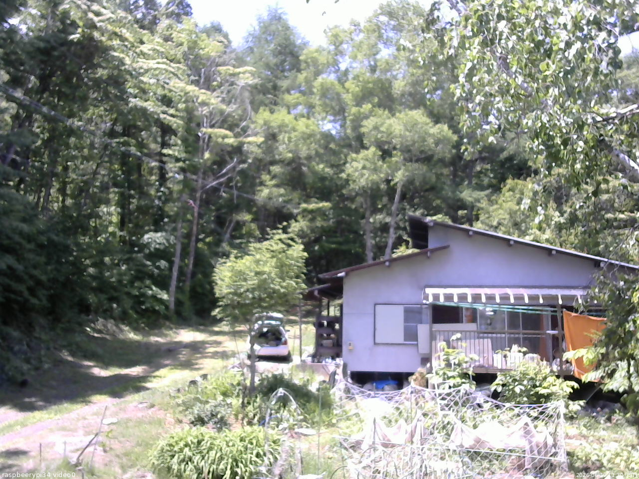 長野県菅平高原 ゆたか山荘 西側(坂上) 2026/06/19 11:30
