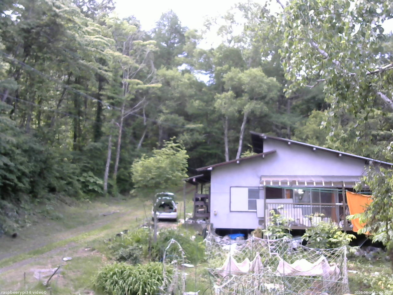 長野県菅平高原 ゆたか山荘 西側(坂上) 2026/06/19 12:00