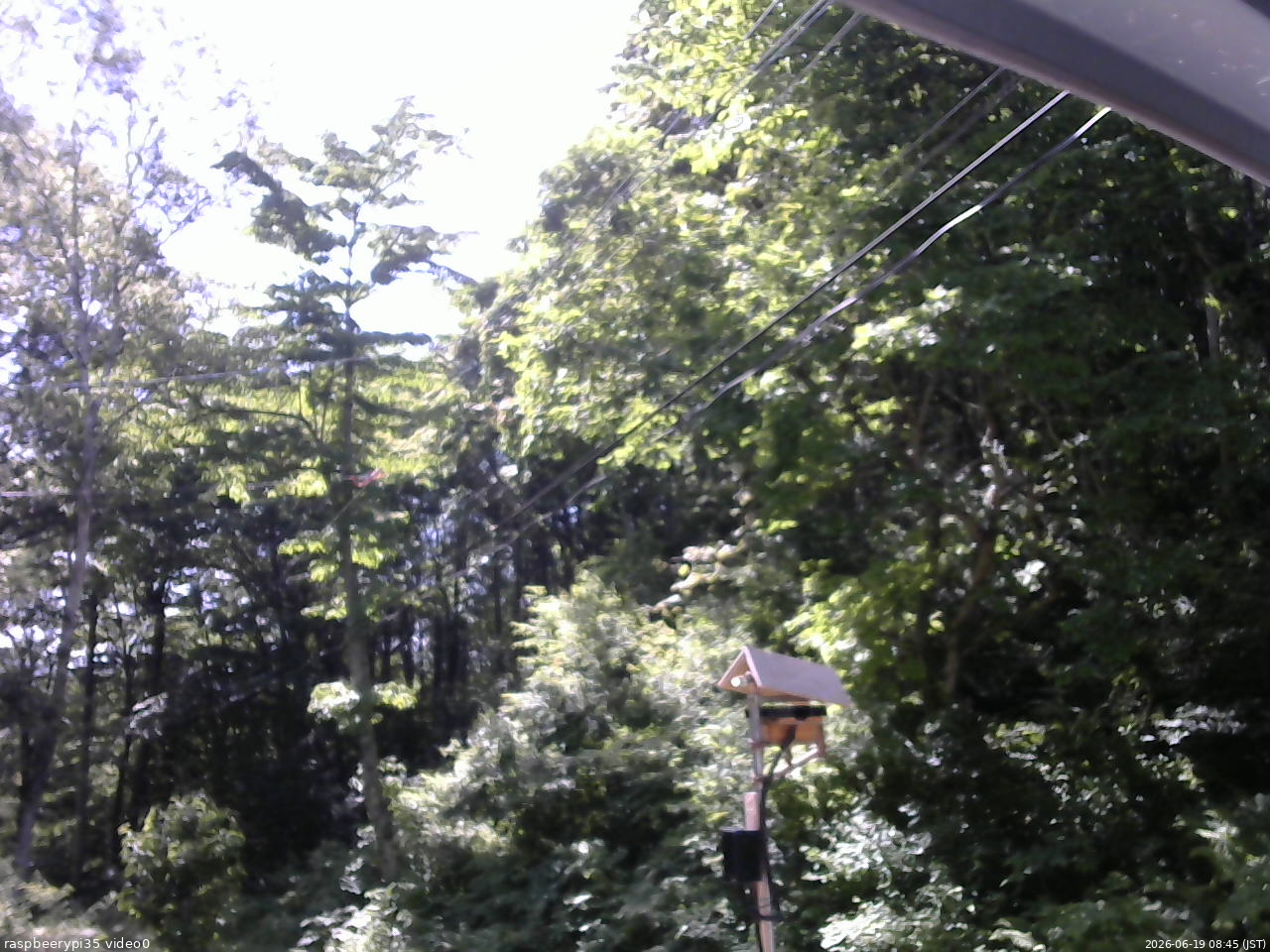 長野県菅平高原 ゆたか山荘 温度計 2026/06/19 08:45