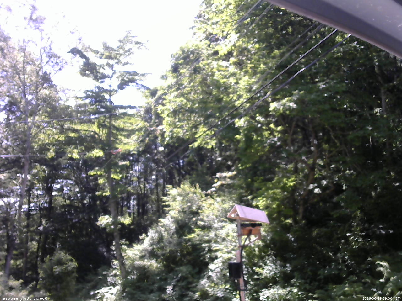 長野県菅平高原 ゆたか山荘 温度計 2026/06/19 09:00