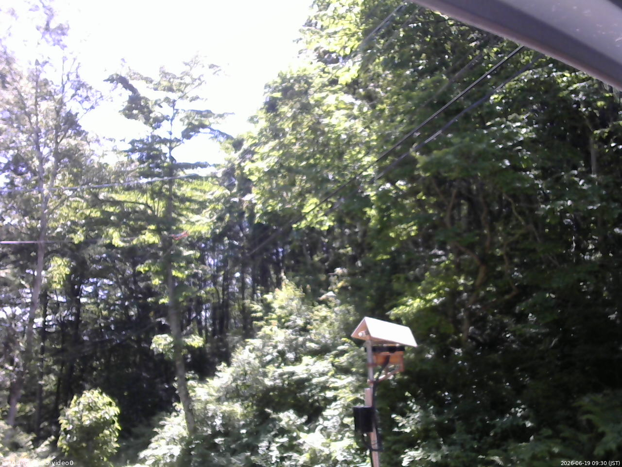 長野県菅平高原 ゆたか山荘 温度計 2026/06/19 09:30