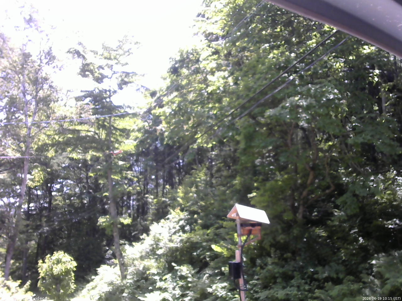 長野県菅平高原 ゆたか山荘 温度計 2026/06/19 10:15