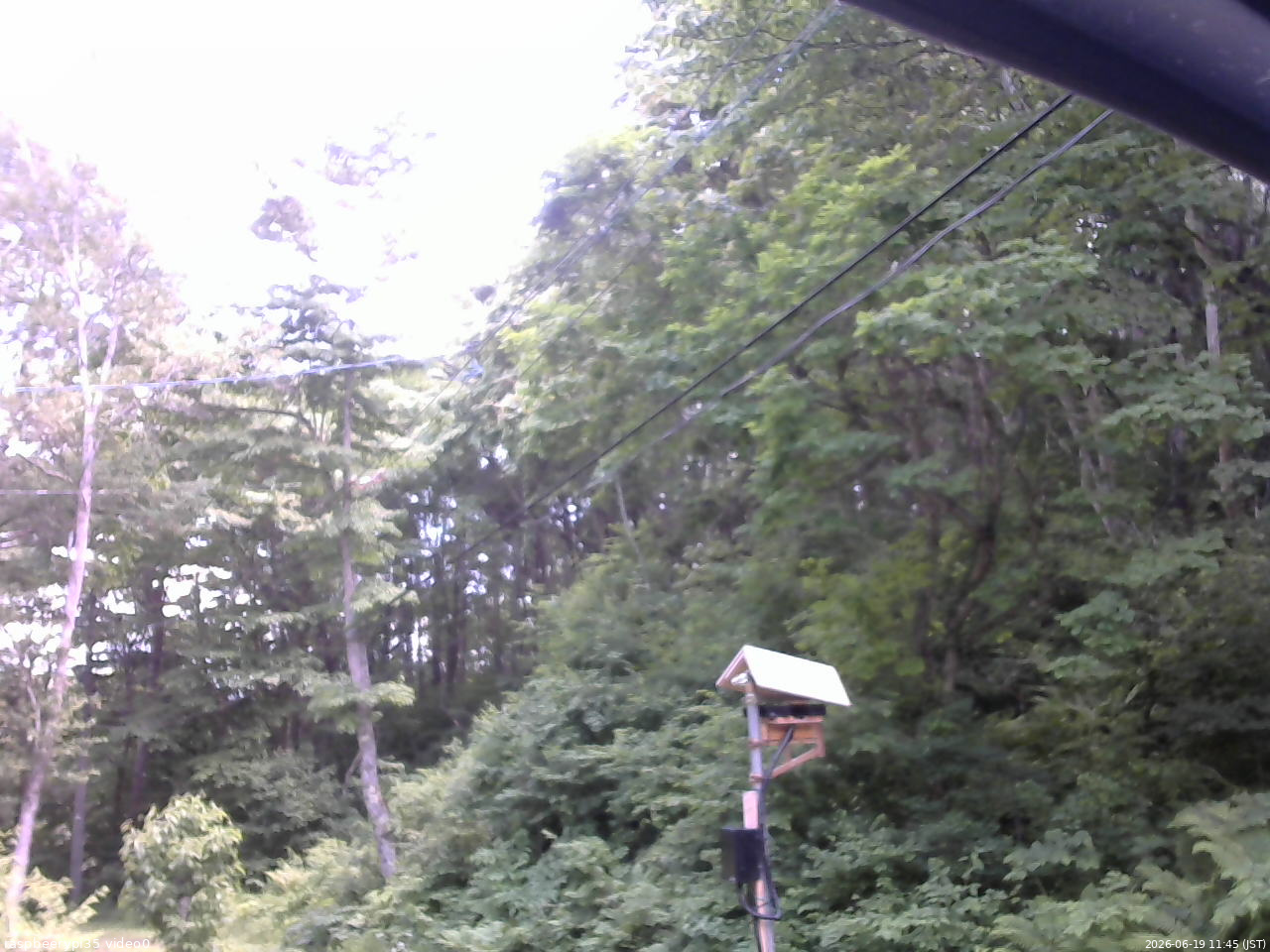 長野県菅平高原 ゆたか山荘 温度計 2026/06/19 11:45
