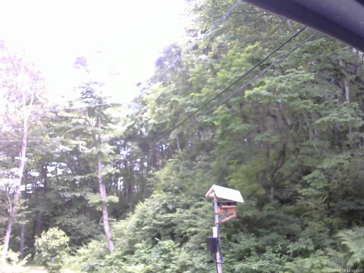 長野県菅平高原 ゆたか山荘 温度計 2026/06/19 12:15