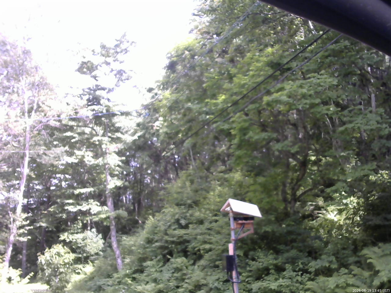 長野県菅平高原 ゆたか山荘 温度計 2026/06/19 13:45