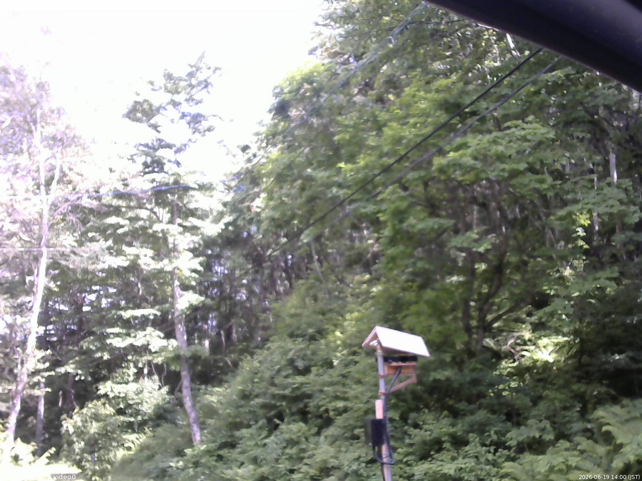 長野県菅平高原 ゆたか山荘 温度計 2026/06/19 14:00