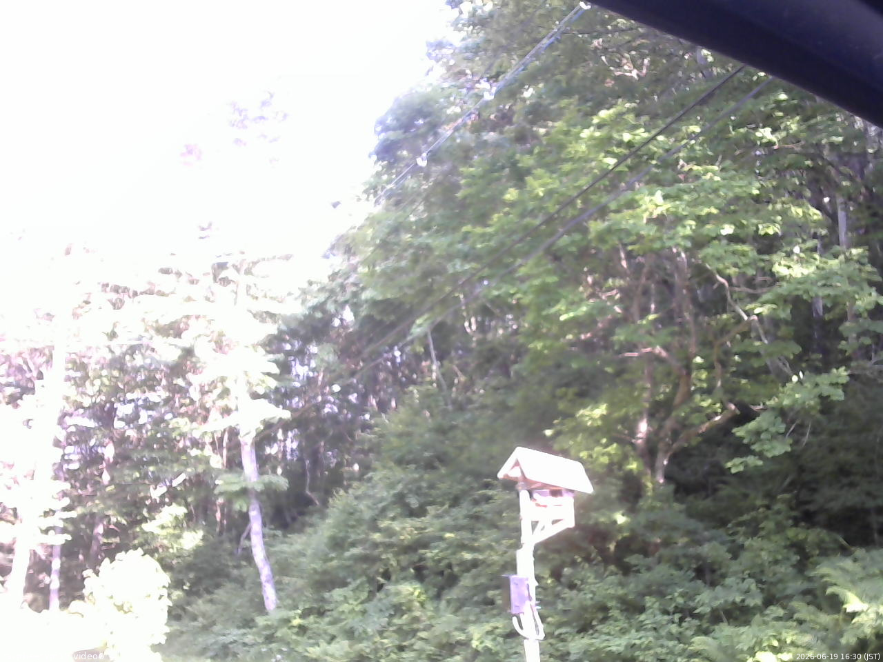長野県菅平高原 ゆたか山荘 温度計 2026/06/19 16:30