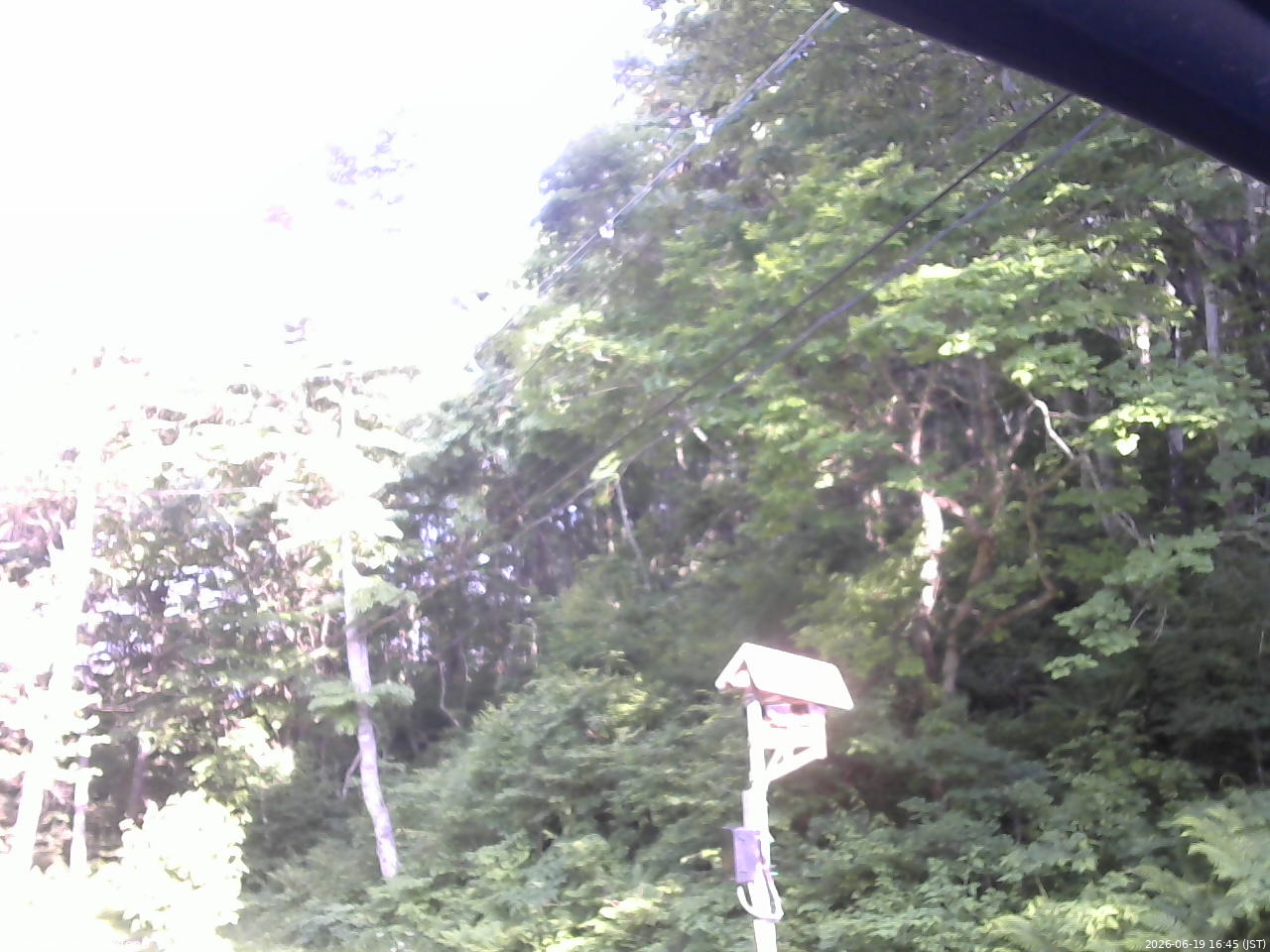 長野県菅平高原 ゆたか山荘 温度計 2026/06/19 16:45