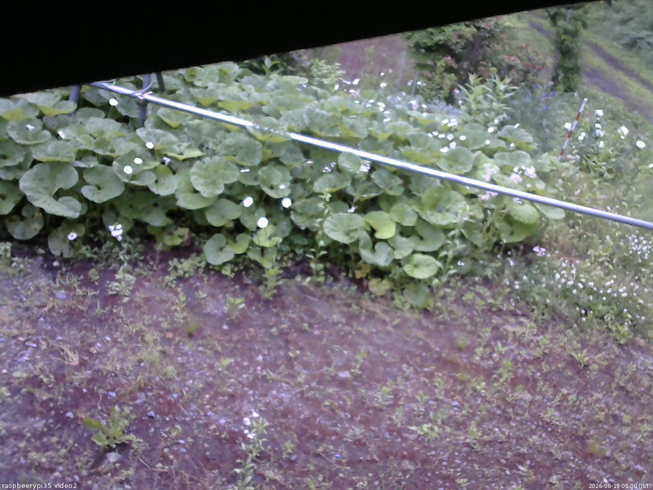 長野県菅平高原 ゆたか山荘 駐車場 2026/06/19 05:00