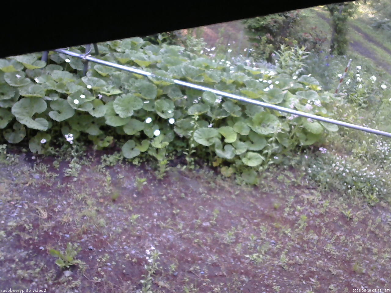 長野県菅平高原 ゆたか山荘 駐車場 2026/06/19 05:45