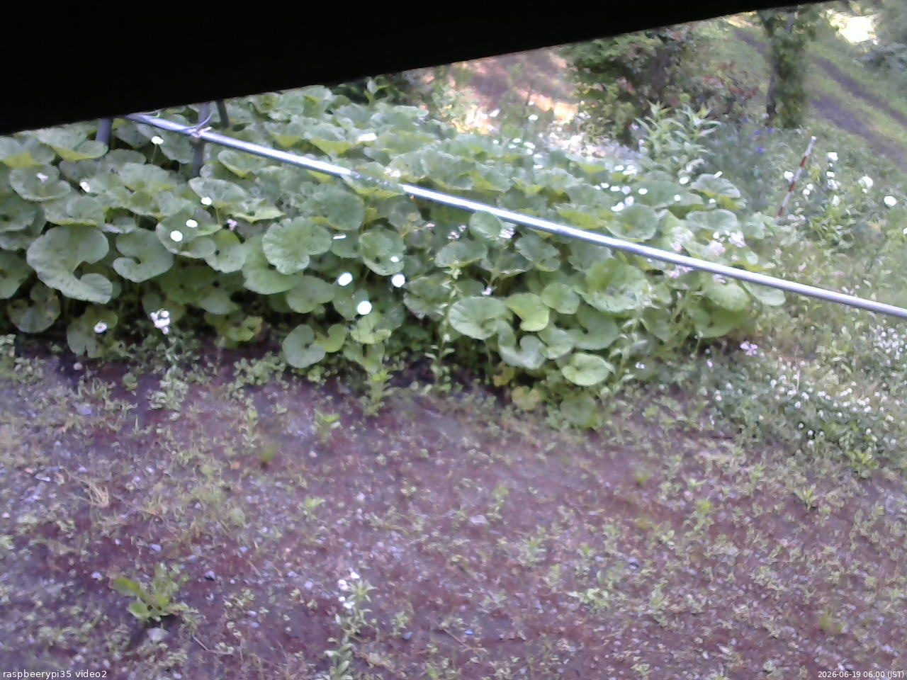 長野県菅平高原 ゆたか山荘 駐車場 2026/06/19 06:00