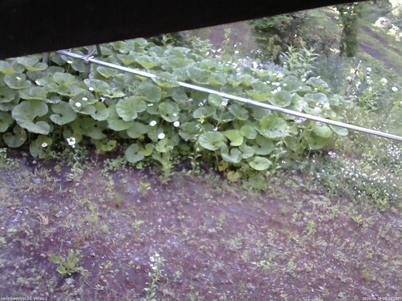 長野県菅平高原 ゆたか山荘 駐車場 2026/06/19 06:30