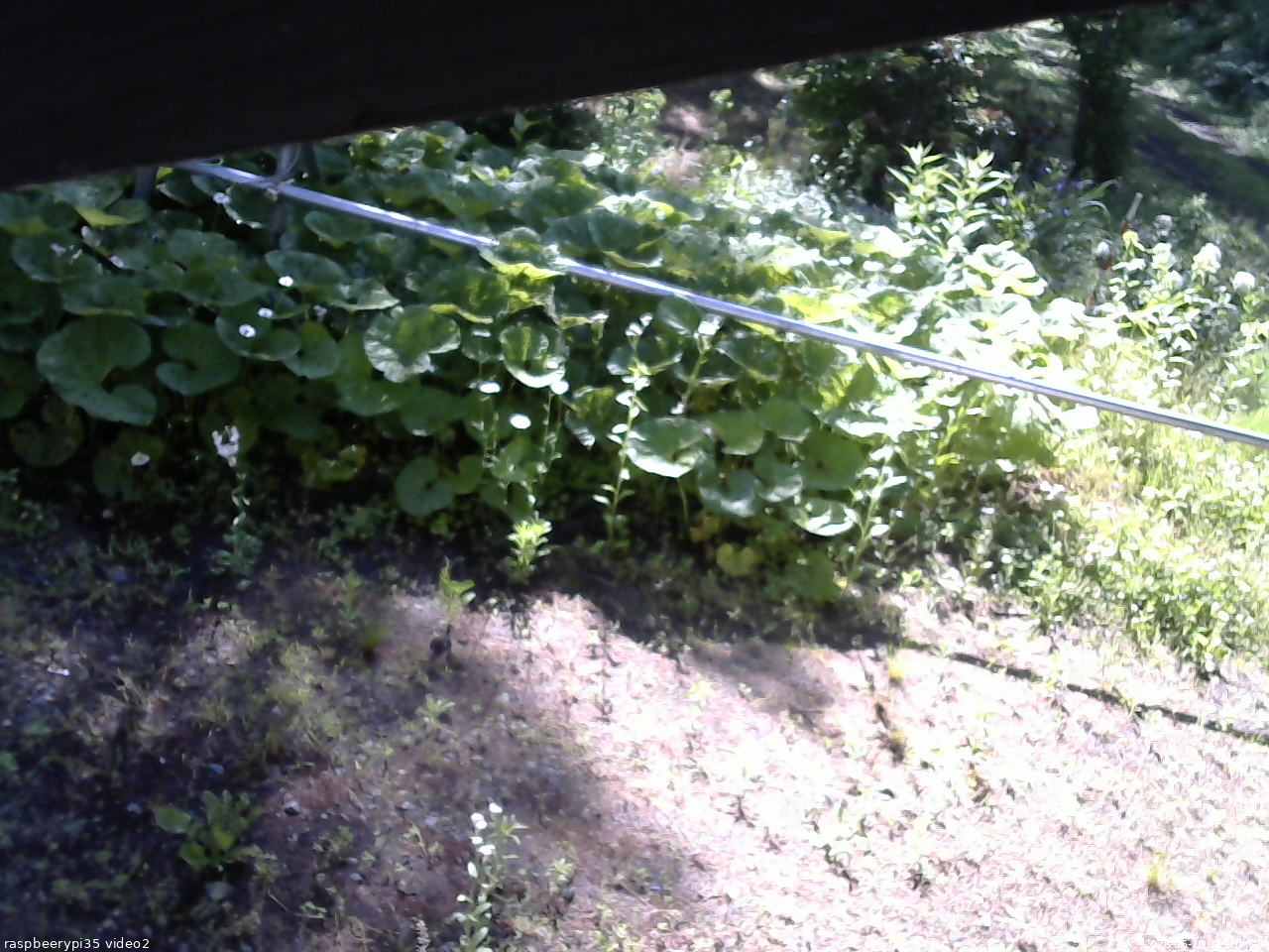 長野県菅平高原 ゆたか山荘 駐車場 2026/06/19 08:00
