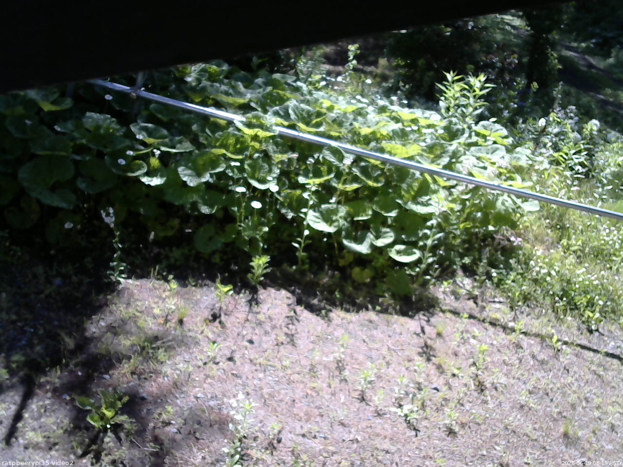 長野県菅平高原 ゆたか山荘 駐車場 2026/06/19 08:15