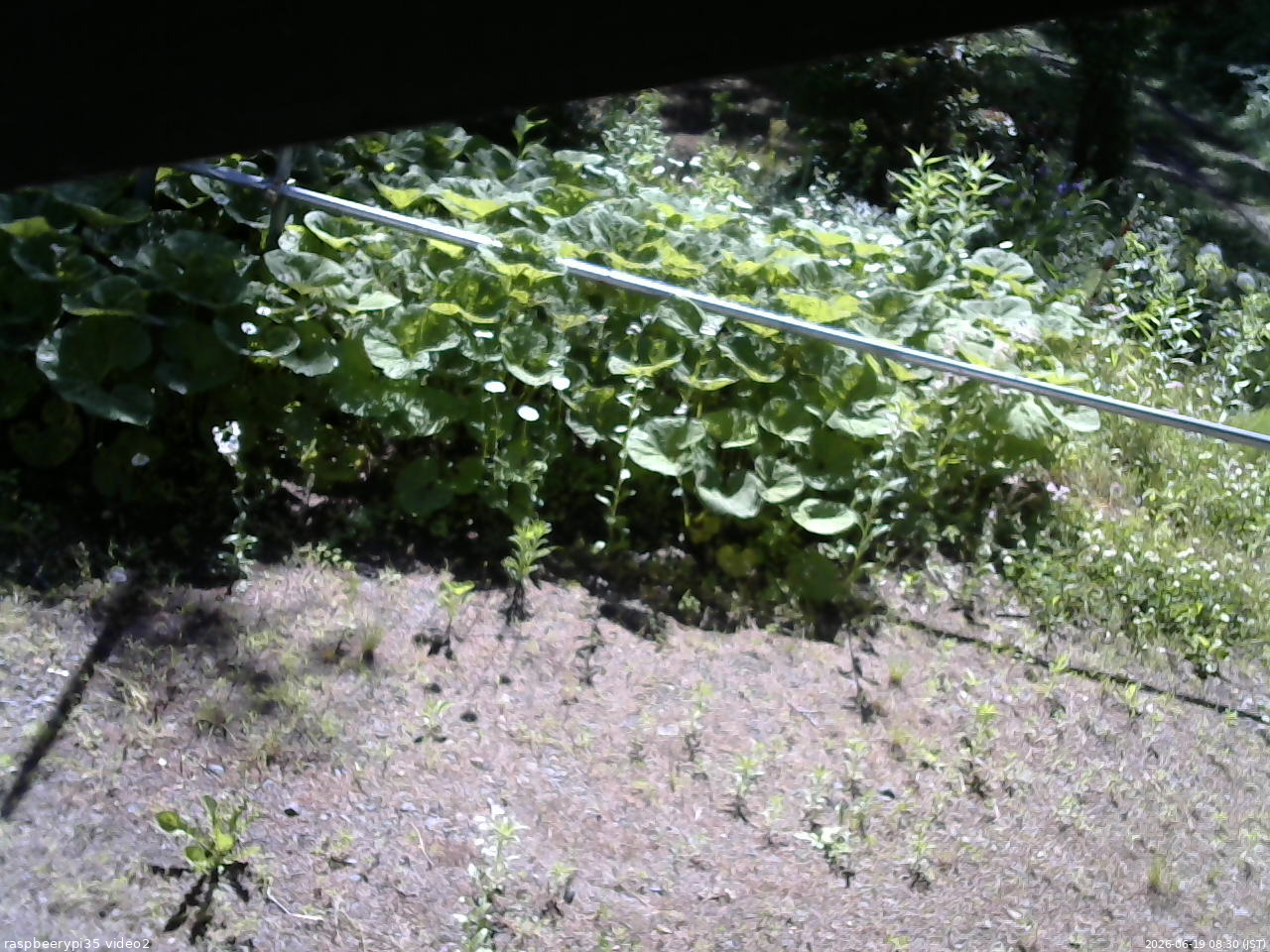 長野県菅平高原 ゆたか山荘 駐車場 2026/06/19 08:30