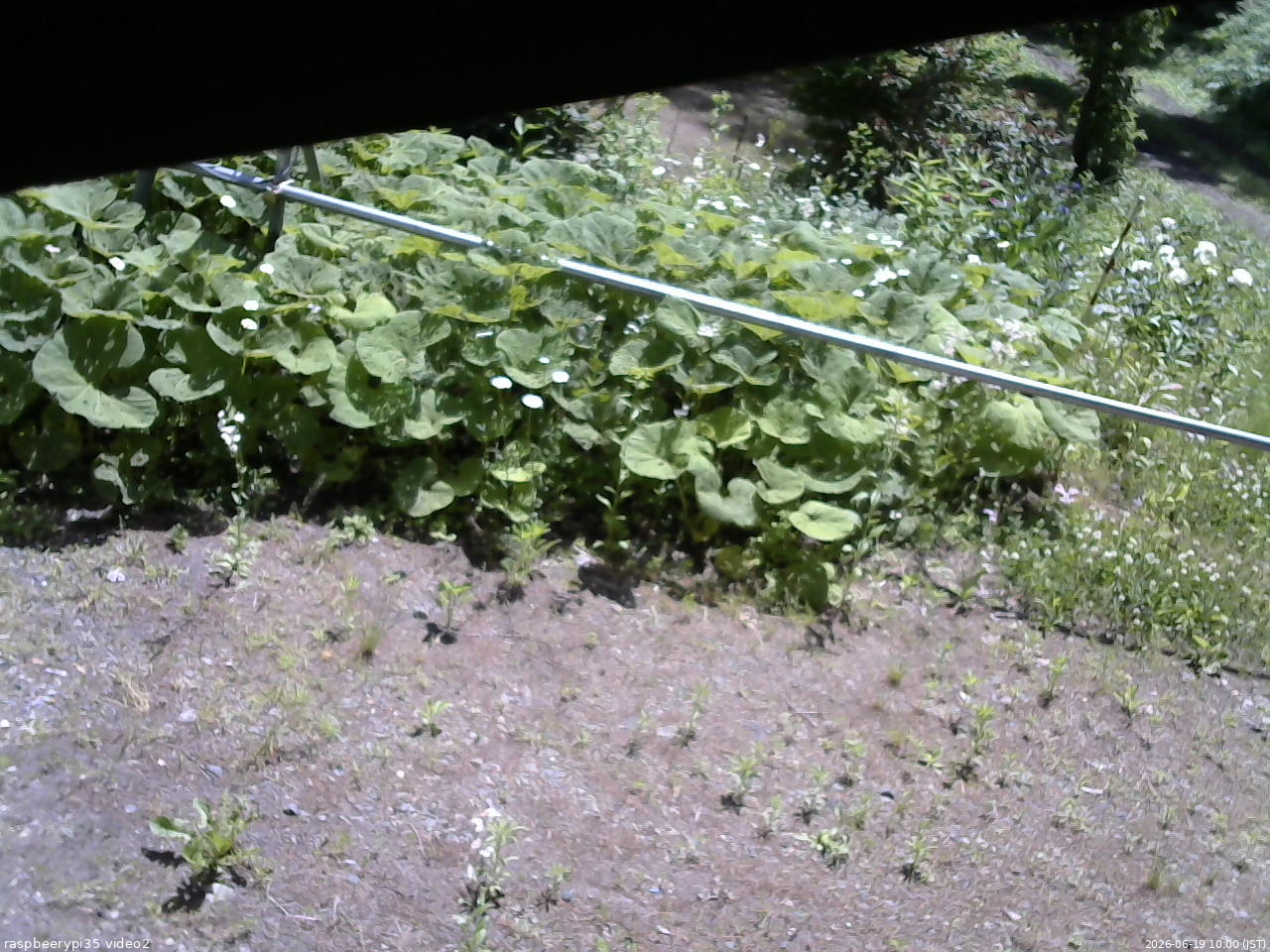 長野県菅平高原 ゆたか山荘 駐車場 2026/06/19 10:00