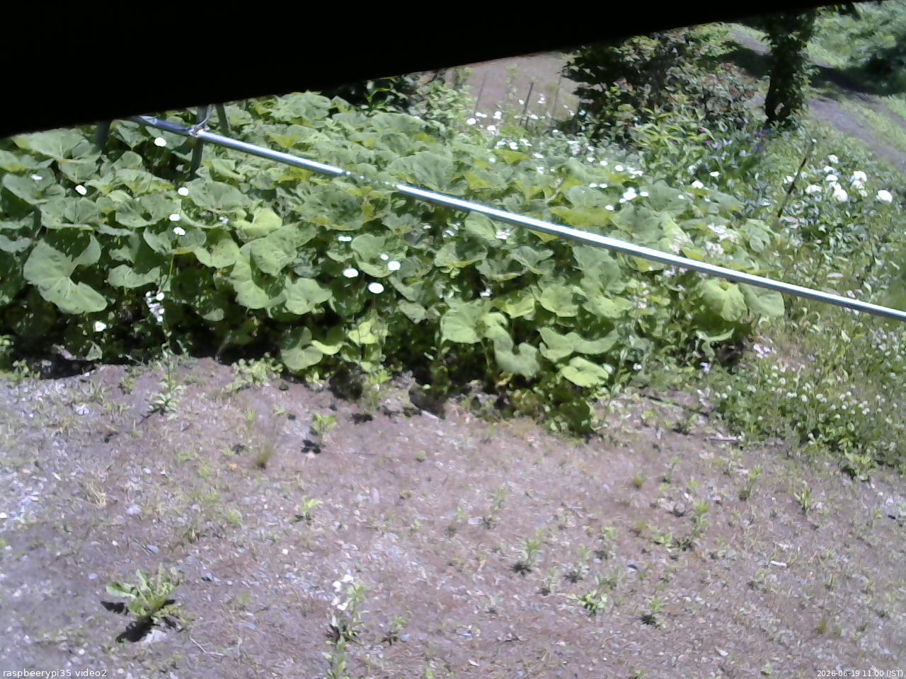 長野県菅平高原 ゆたか山荘 駐車場 2026/06/19 11:00