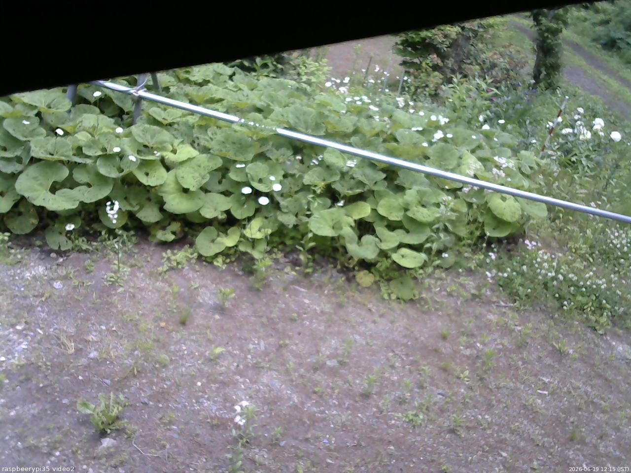 長野県菅平高原 ゆたか山荘 駐車場 2026/06/19 12:15