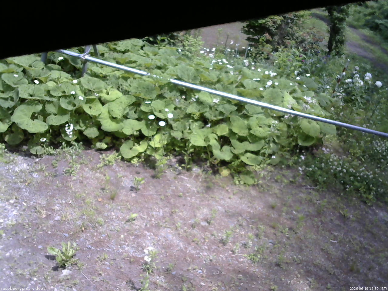 長野県菅平高原 ゆたか山荘 駐車場 2026/06/19 12:30