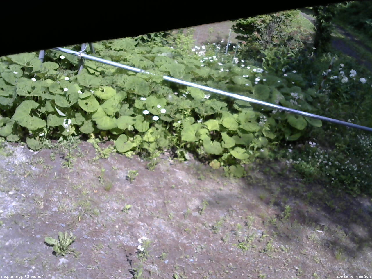 長野県菅平高原 ゆたか山荘 駐車場 2026/06/19 14:00