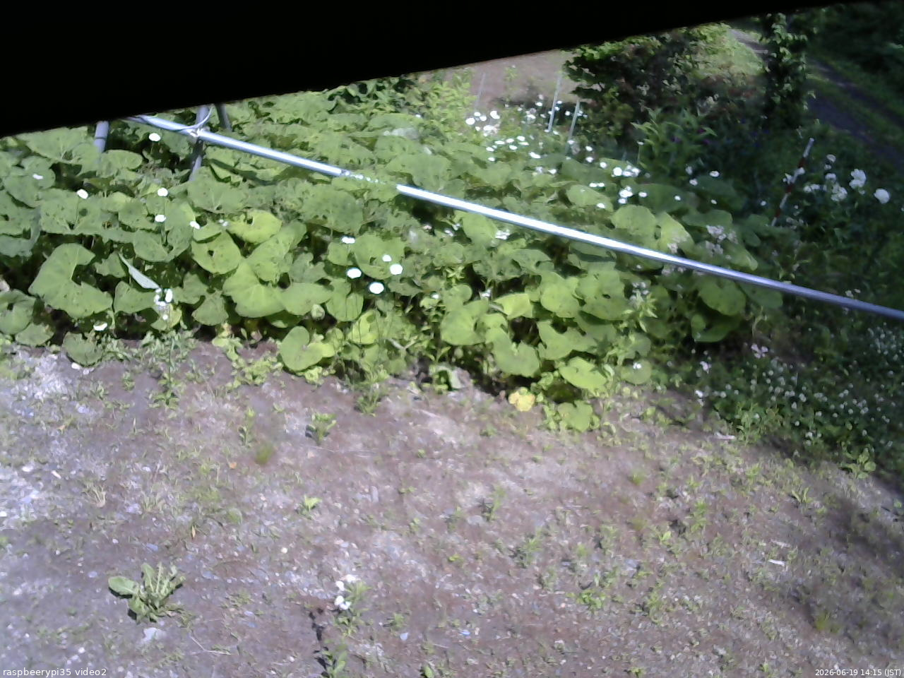 長野県菅平高原 ゆたか山荘 駐車場 2026/06/19 14:15