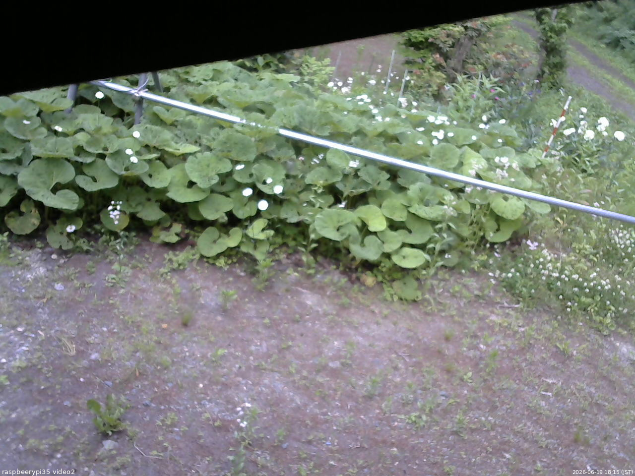 長野県菅平高原 ゆたか山荘 駐車場 2026/06/19 18:15