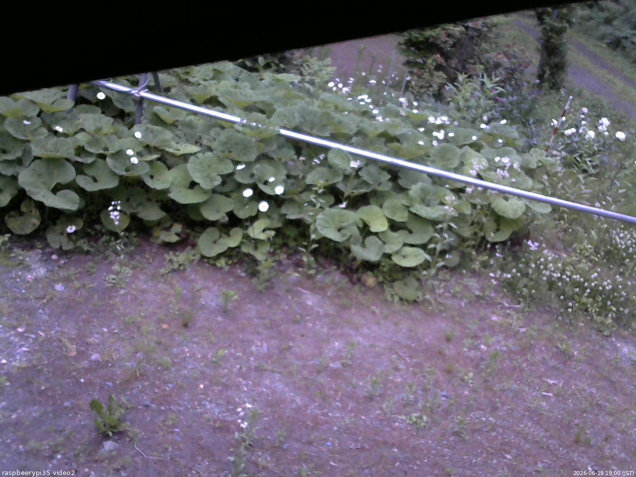 長野県菅平高原 ゆたか山荘 駐車場 2026/06/19 19:00
